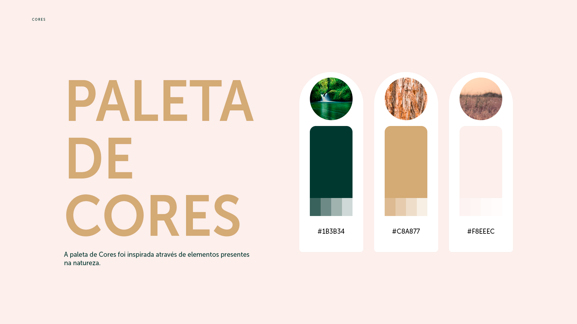 Paleta de Cores